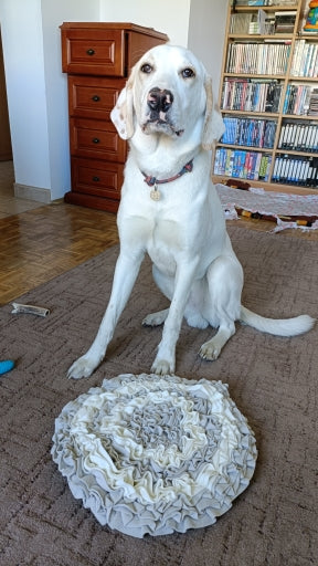 Dog Snuffle Training Mat Round Washable Blanket Nosework for pet