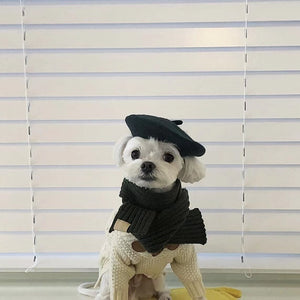 Dog Beret Hat Wool  Headwear costume for pet