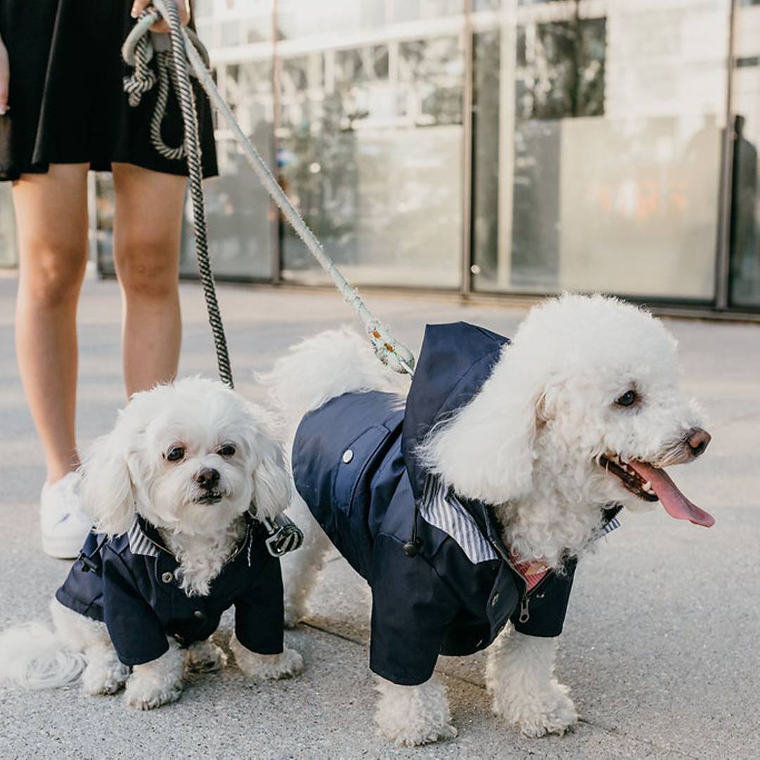 Dog Raincoat Windproof Rainproof Hoodies Jacket Clothes for pet