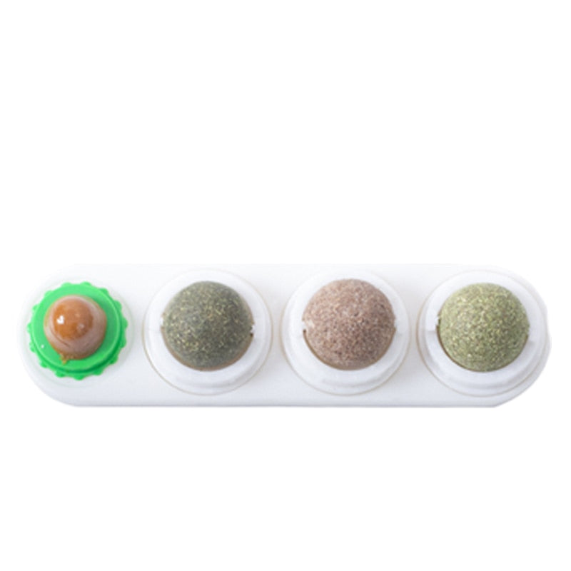 Catnip Mint Ball Set Toy for pet