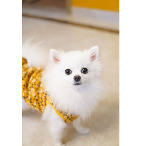 Dog Floral Cotton Coat Clothes Short Two-legged Vest for pet