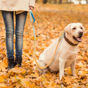 Soft Dog Leash Rope Heavy Duty Walking Hiking Lead for pet