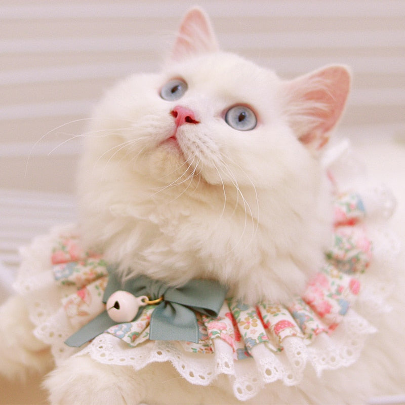 Floral Cat Dog Collar Necklace  for pet