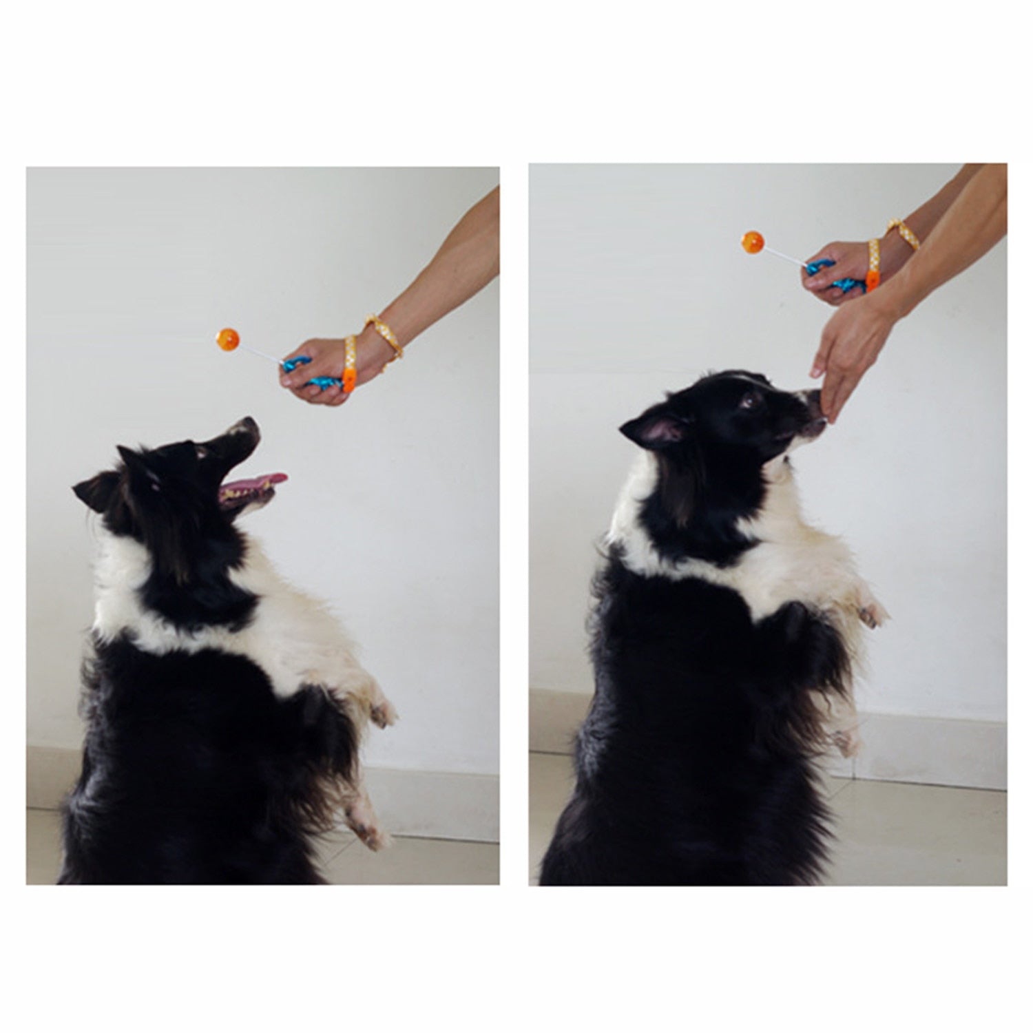 Stretchable Dog Cat Training Clicker Agility Bird Whistle Commander for pet