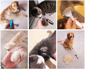 Dog Deshedding Hair Removal Brush Comb Grooming Tool for pet