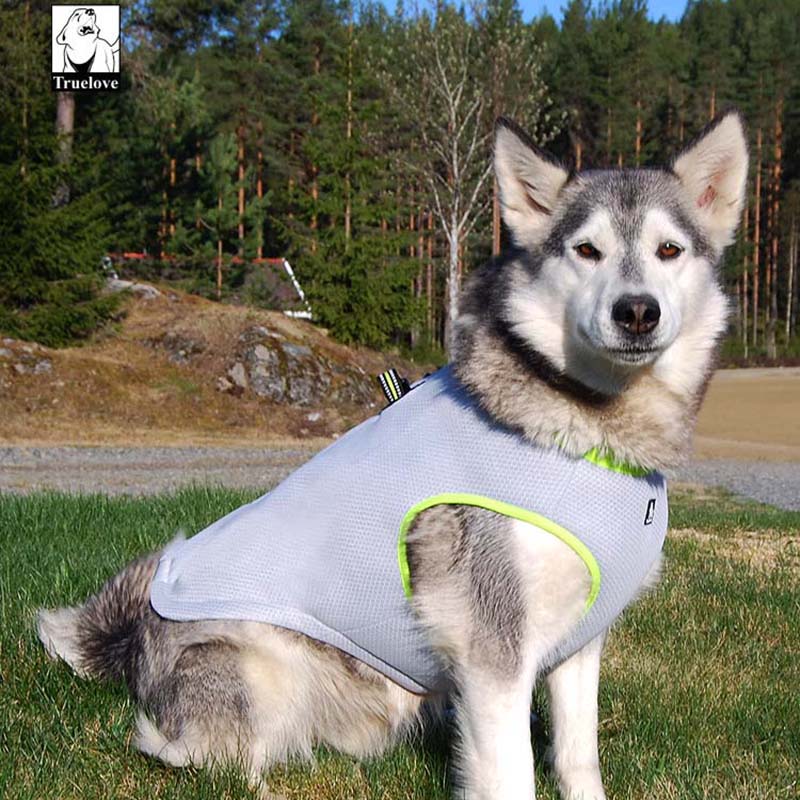 Dog Cooling Vest Adjustable Mesh jacket for pet