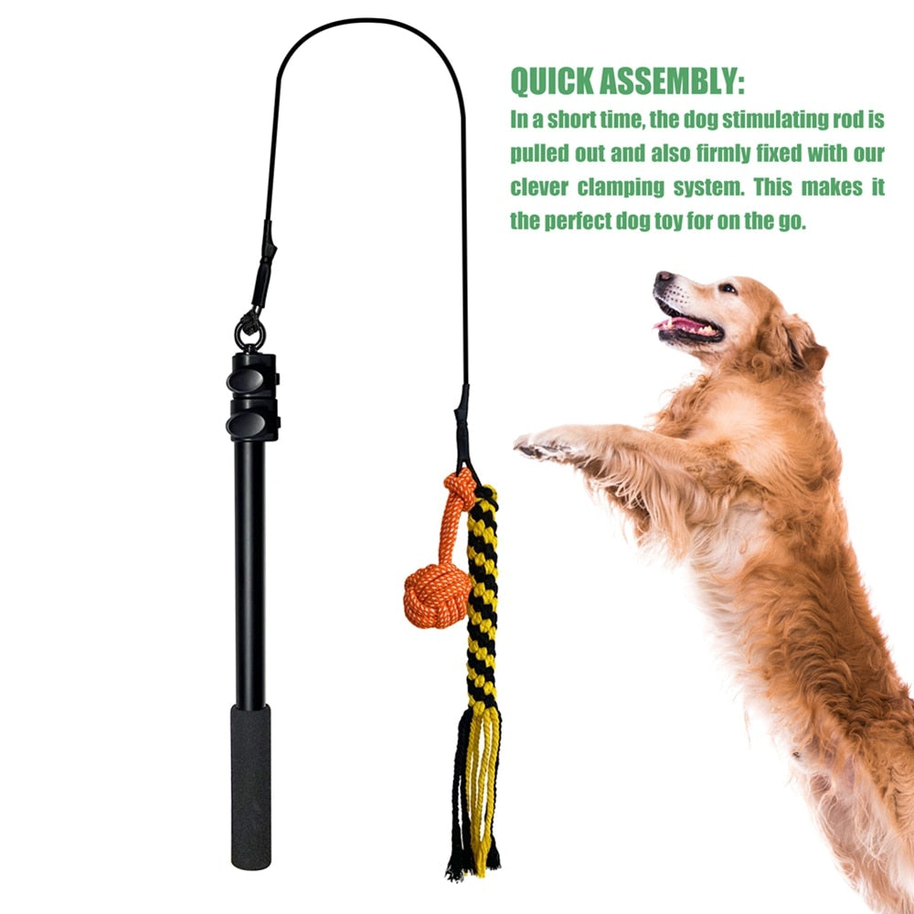 Dog Retractable Pole Bite-resistant Teaser Wand Toy with Plush for pet