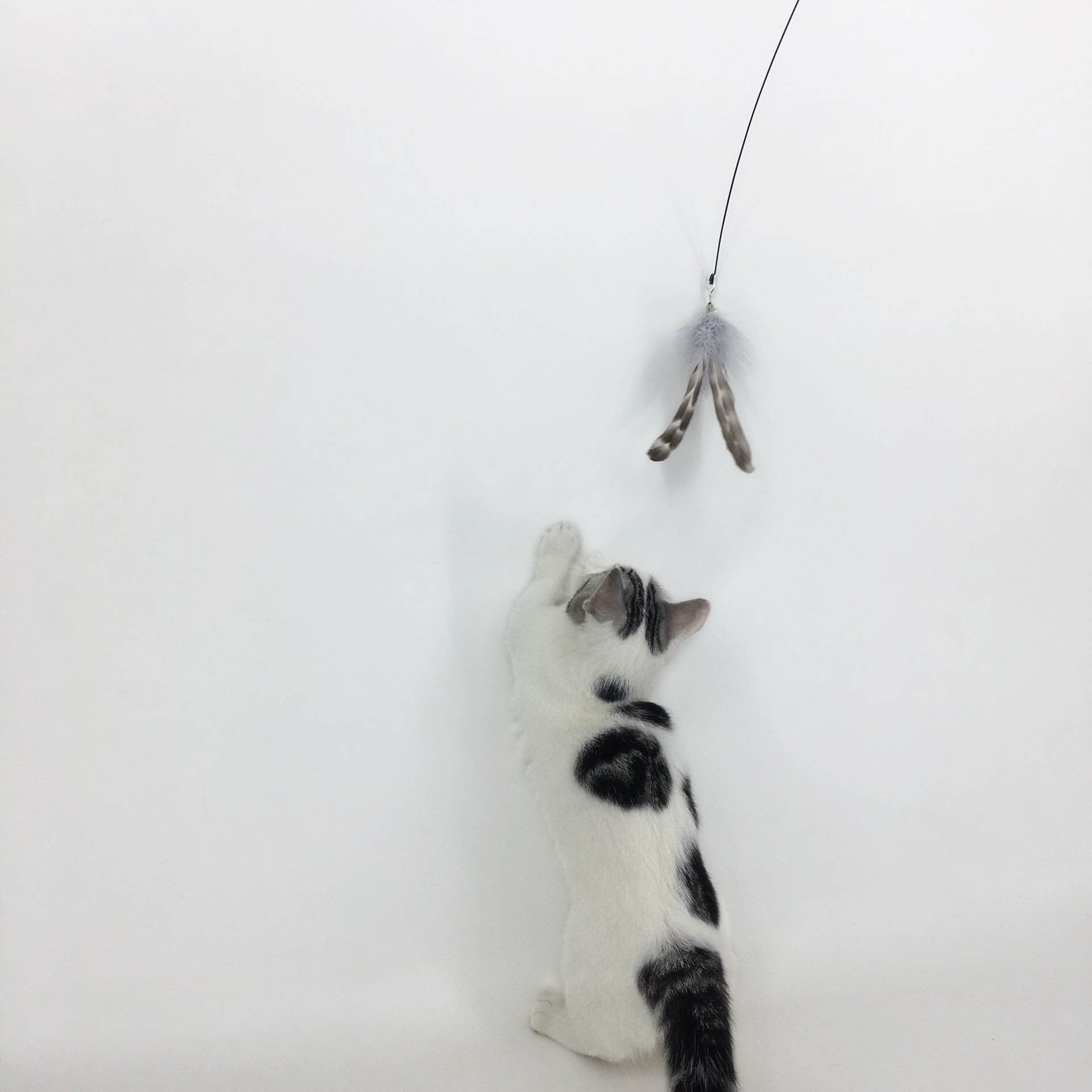 Kitten Feather Toy Wire Interactive Stick Cat Stick with Bell Long Rod Sucker for pet