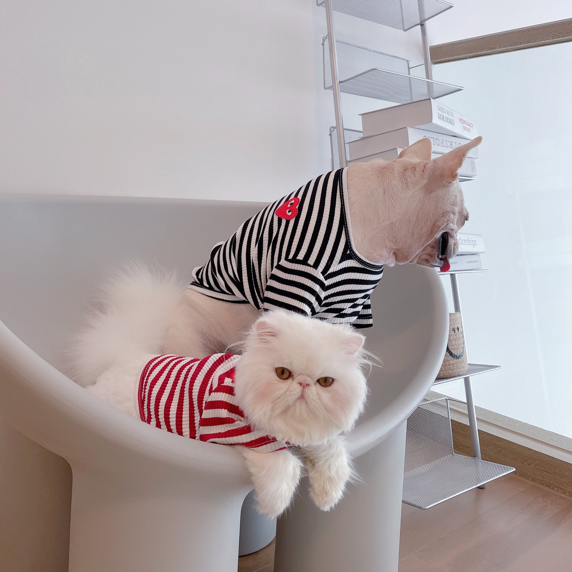 Luxury Style Dog Sweater Clothes for pet