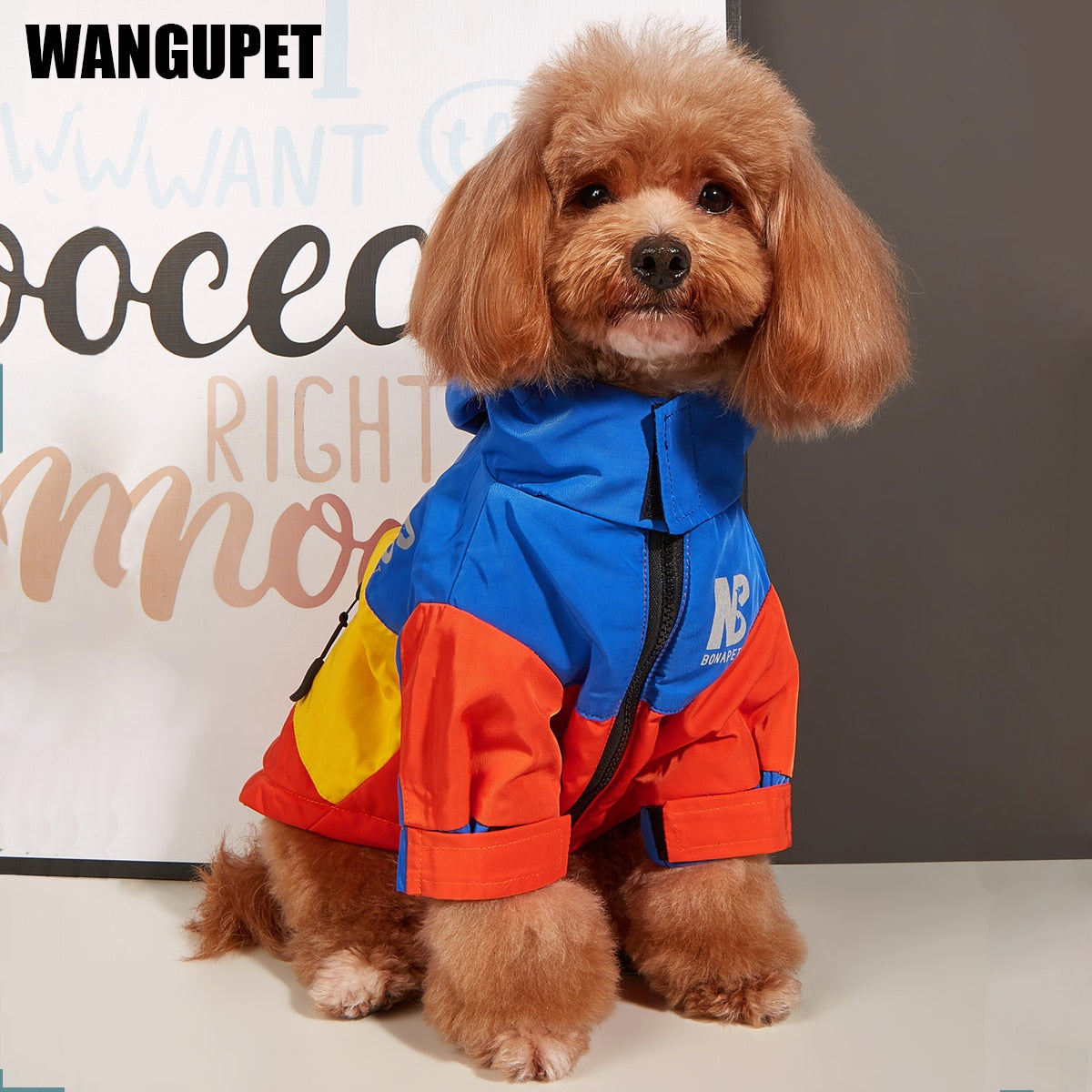Waterproof Winter warm raincoat Jacket French bulldog Chihuahua Outfit for pet