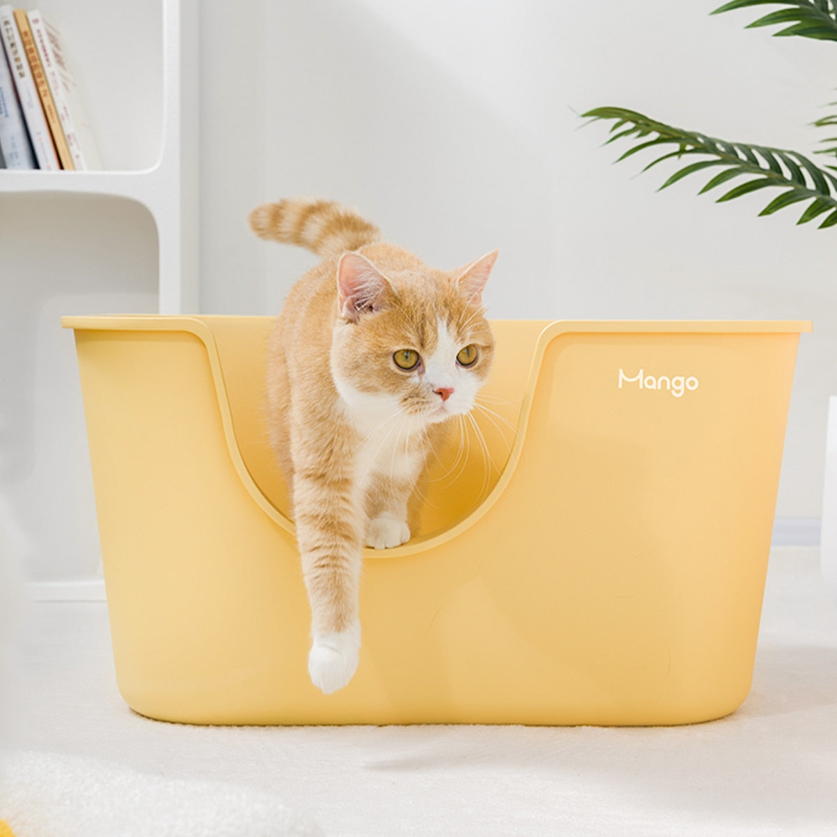Mango Large Cat Litter Box Oversized Tray for pet