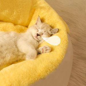 Cat Warm Mattress Semi-enclosed Cute Sleeping Bed for pet