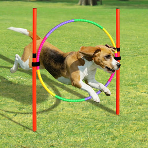 Dog Agility Equipment Obstacle Training Pole Set for pet
