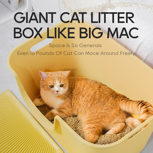 Mango Large Cat Litter Box Oversized Tray for pet