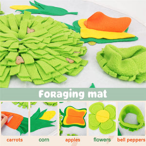 Guinea Pig Rabbit Foraging Round Snuffle Mat Treat Puzzle for small pet