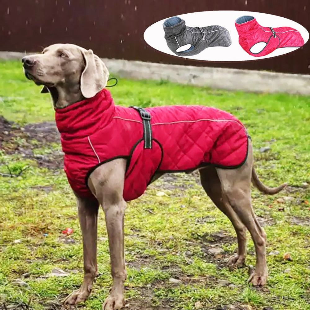 Dog Outdoor Jacket Waterproof Vest Warm Cotton Clothes for pet