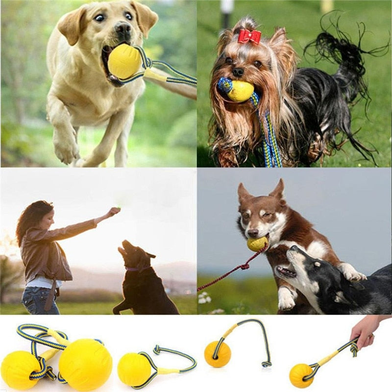 Bite Rubber Training Ball Chew Toy for pet