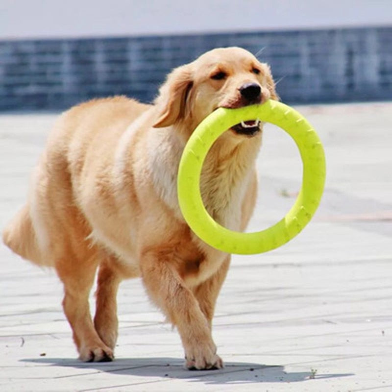 Flying Discs EVA Dog Training Ring Outdoor Interactive Toy for pet