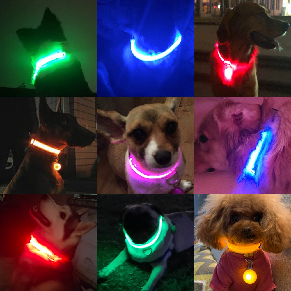 USB Charging Led Dog Collar Anti-Lost/Avoid Car Accident Night Walking for Pet