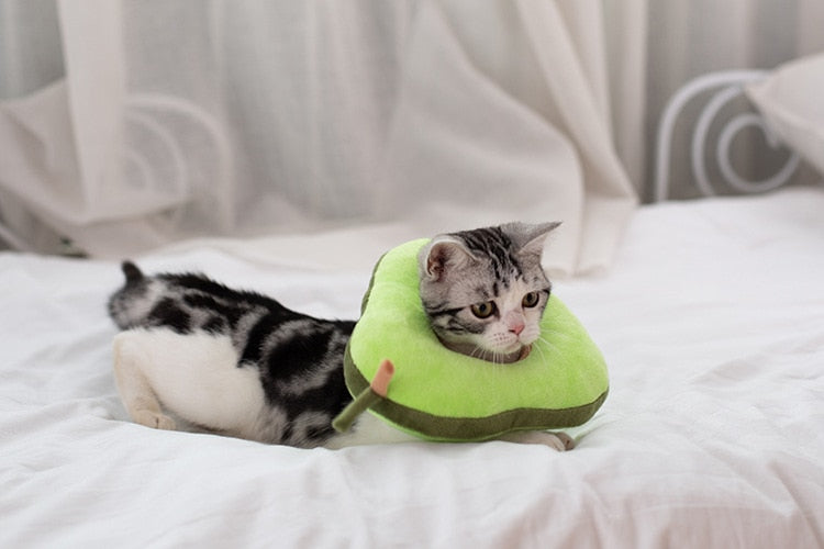 Soft Toast Avocado Shaped Elizabethan Collar Adjustable Wound recovery For Pet