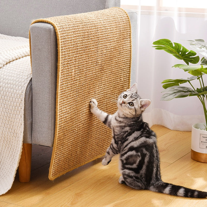 cat scratcher board to protect furniture