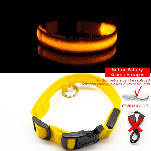 USB Charging Led Dog Collar Anti-Lost/Avoid Car Accident Night Walking for Pet
