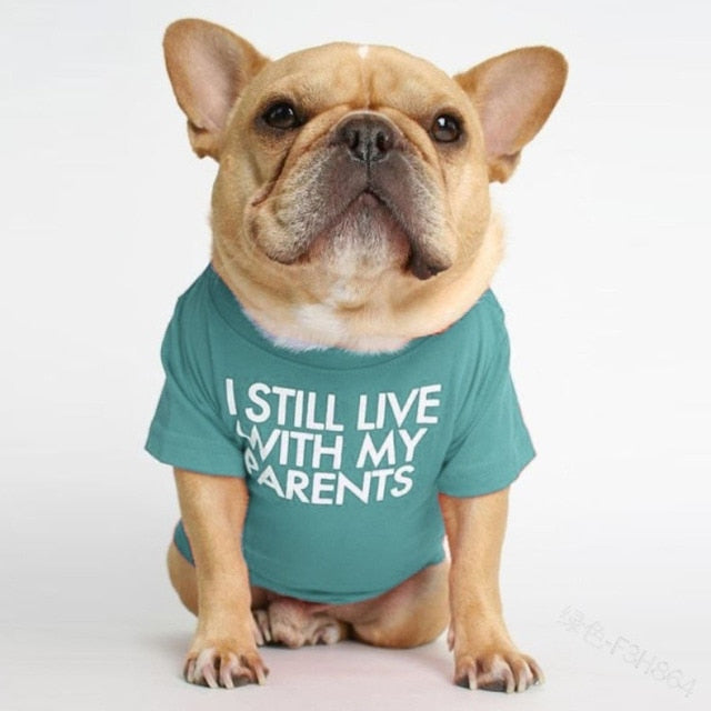 Funny Dog Tshirt Clothes for pet