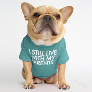 Funny Dog Tshirt Clothes for pet