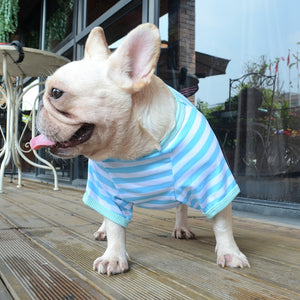 Dog Stripe T-shirt Clothes for pet