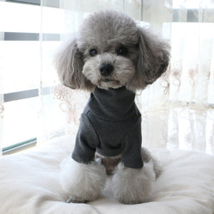Cute Lace Puppy T-shirt Clothing for pet