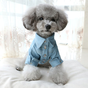 Cute Lace Puppy T-shirt Clothing for pet