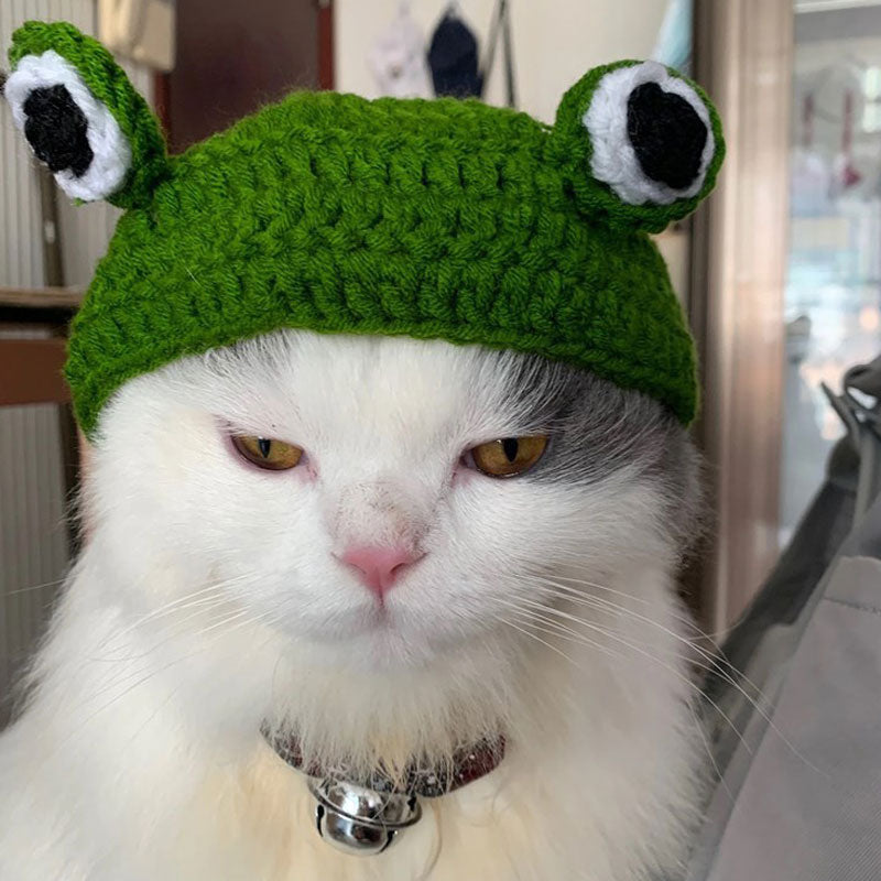 Wool Frog Shaped Headgear for small pet