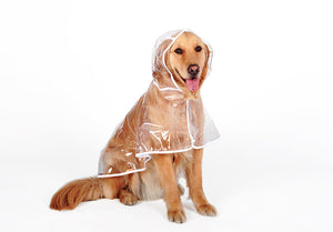 Dog Raincoat Waterproof Clothing Jacket for pet