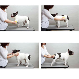 Dog Cat Massage Slicker Brush Soft Gentle Silicone for pet