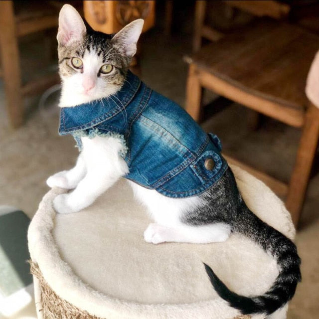 Denim Cat Clothes Casual jacket for pet