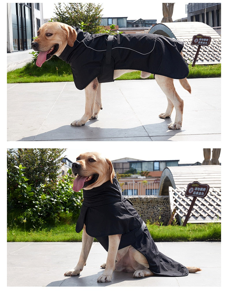 Winter Dog Jacket Waterproof warm Clothes Raincoat for pet