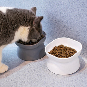 High stand Food Bowl for pet