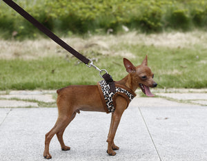Leopard Dog Harness Vest Without Leash for pet