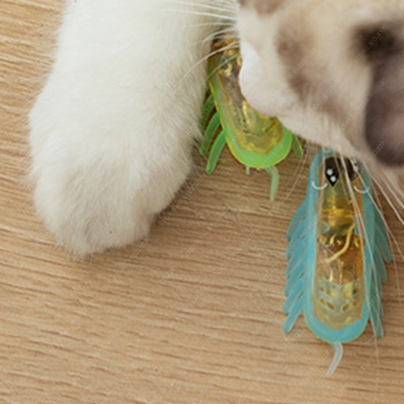 XiaoMi Electric Cockroach Self Entertainment toy for pet