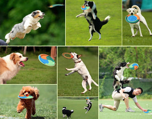 Dog Flying Discs Resistant Bite Floating Training Ring Toy for pet