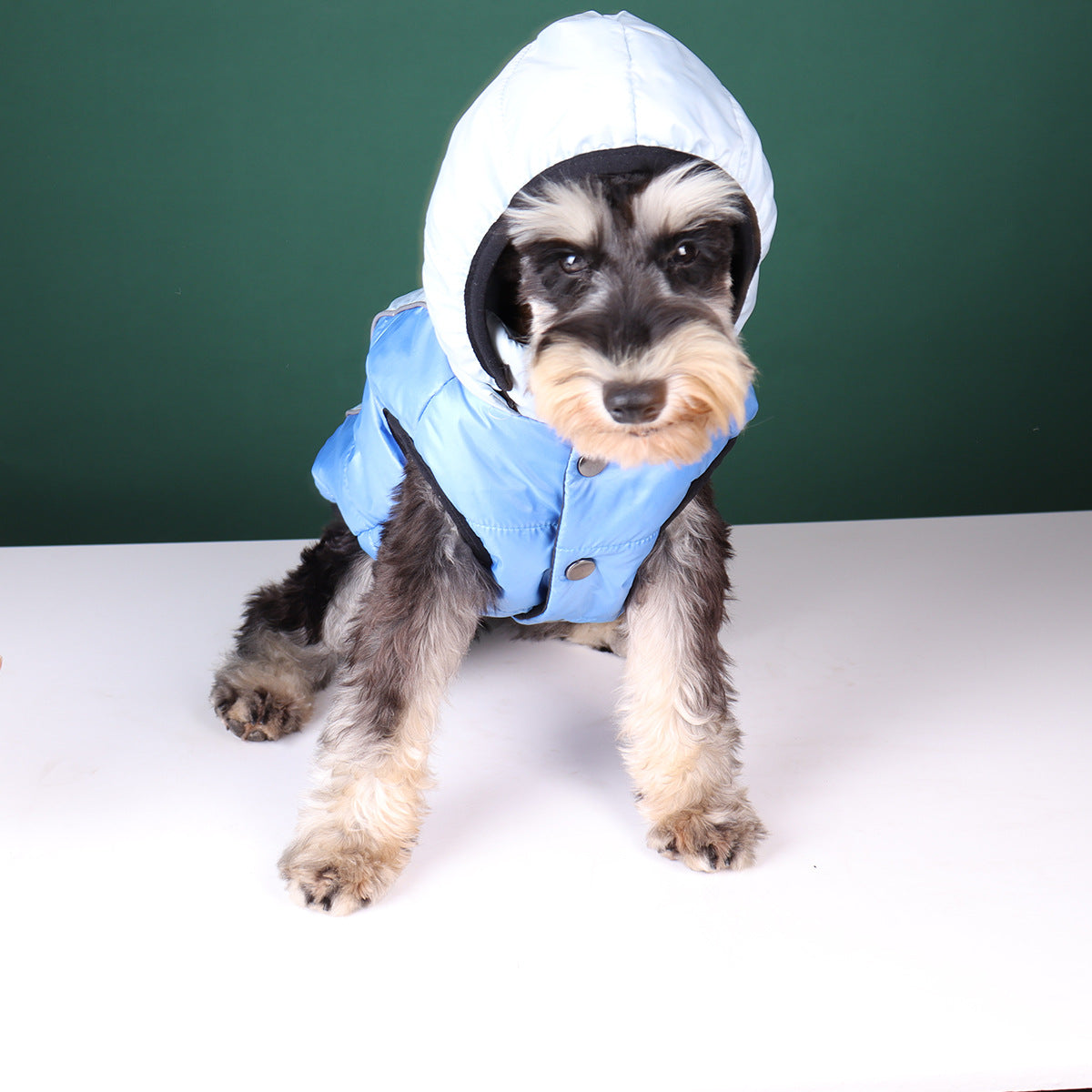 Dog Winter Clothes Vest Hoodie for pet