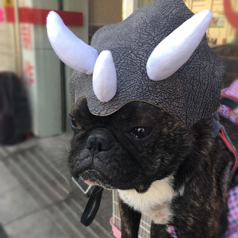 Triceratops Dinosaur Costume Hats Headgear for pet